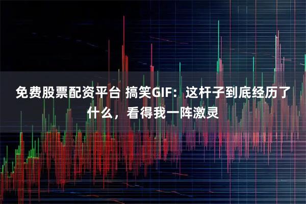 免费股票配资平台 搞笑GIF：这杆子到底经历了什么，看得我一阵激灵