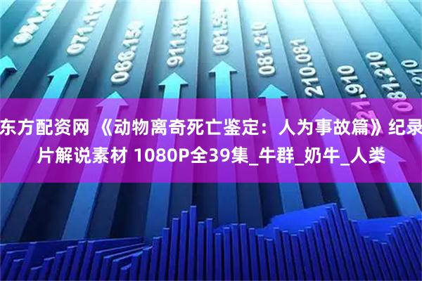 东方配资网 《动物离奇死亡鉴定：人为事故篇》纪录片解说素材 1080P全39集_牛群_奶牛_人类